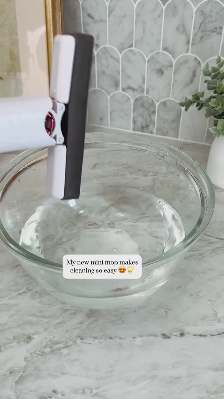 Portable Mini Mop Tools